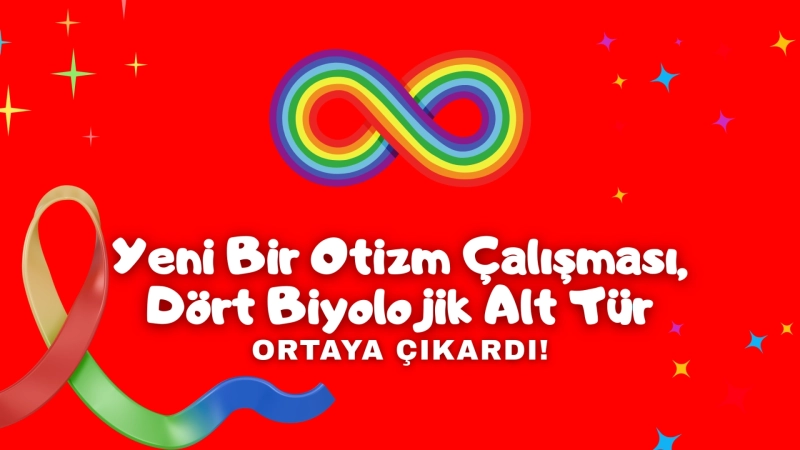  Otizmde Yeni Bir Dönem Mi Başlıyor? Tek Tanıdan Biyolojik Alt Tiplere!